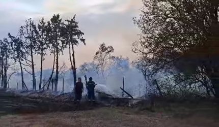 Κινητοποίηση της πυροσβεστικής για φωτιά στους Ταγαράδες (ΒΙΝΤΕΟ)