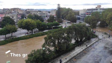 “Καμπανάκι” από Αγαπηδάκη για τη Θεσσαλία: «Ελλοχεύει ο κίνδυνος λεπτοσπείρωσης»