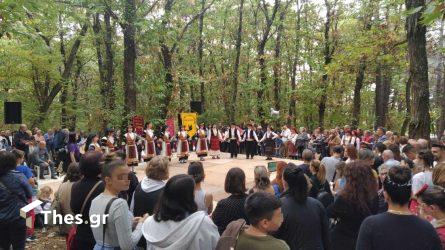 Γιορτή Κάστανου: Πλημμύρισε από κόσμο το Καστανόδασος στο Παλαιοχώρι Καβάλας (ΦΩΤΟ)