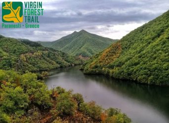 Virgin Forest Trail 2023 Αγώνες Παρθένου Δάσους Παρανέστι Δράμας