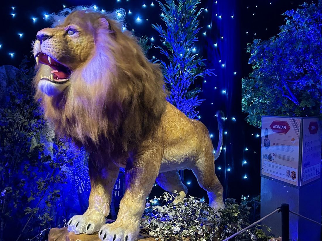 NOESIS ECO ZOO Θεματικό Πάρκο Θεσσαλονίκη Κέντρο Διάδοσης Επιστημών και Μουσείο Τεχνολογίας NOESIS στη Θεσσαλονίκη από τις 17 Οκτωβρίου του 2023 ως τις 4 Φεβρουαρίου του 2024