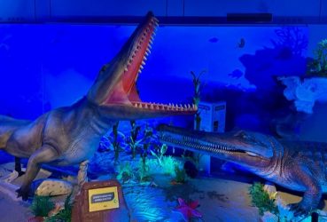 NOESIS: Το ECO ZOO, το εντυπωσιακό Θεματικό Πάρκο έρχεται στη Θεσσαλονίκη και θα σας συναρπάσει! (ΒΙΝΤΕΟ & ΦΩΤΟ)