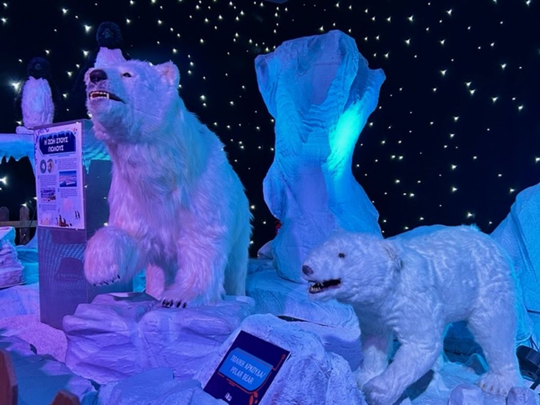 NOESIS ECO ZOO Θεματικό Πάρκο Θεσσαλονίκη Κέντρο Διάδοσης Επιστημών και Μουσείο Τεχνολογίας NOESIS στη Θεσσαλονίκη από τις 17 Οκτωβρίου του 2023 ως τις 4 Φεβρουαρίου του 2024