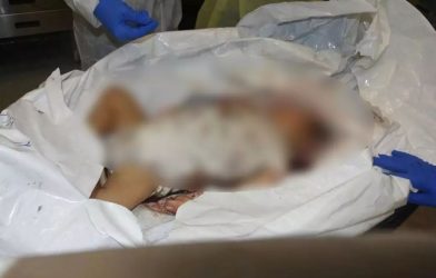 Πόλεμος στο Ισραήλ: “Γροθιά στο στομάχι” οι φωτογραφίες νεκρών βρεφών που έδειξε ο Νετανιάχου στον Μπλίνκεν