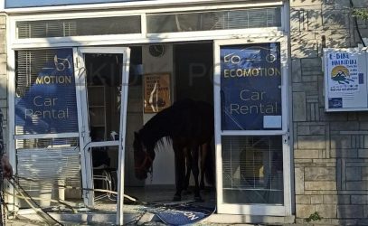 Χαλκιδική: Αλογο εισέβαλε σε κατάστημα και τα έκανε “λαμπόγυαλο” (ΦΩΤΟ)