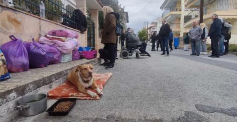 Χαλκιδική: Νέα έξωση στον 82χρονο στα Φλογητά – Βγάλανε τα πράγματα του στο πεζοδρόμιο (ΒΙΝΤΕΟ)