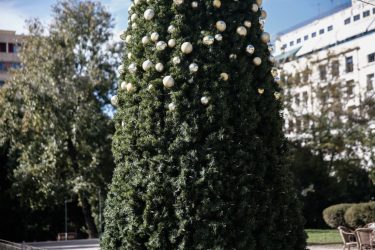 Αθήνα χριστουγεννιάτικα δέντρα