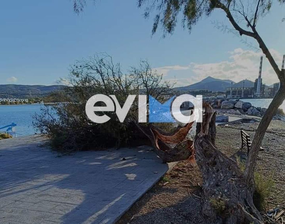 Εύβοια άνεμοι δέντρα 