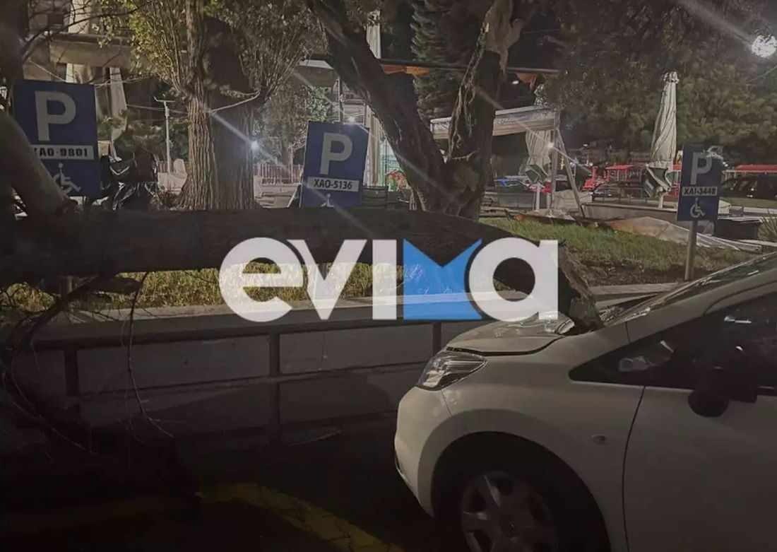 Εύβοια άνεμοι δέντρα 
