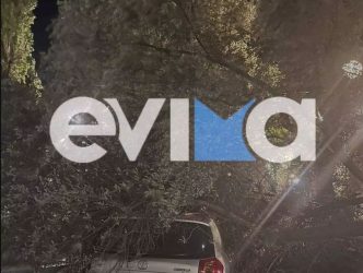 Εύβοια άνεμοι δέντρα