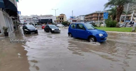 Κακοκαιρία: Πλημμύρισαν δρόμοι και έπεσαν δέντρα στην Αργολίδα (ΒΙΝΤΕΟ)
