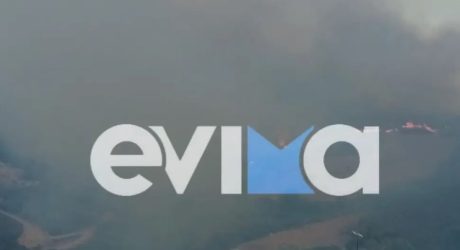 Κάρυστο Εύβοια φωτιά