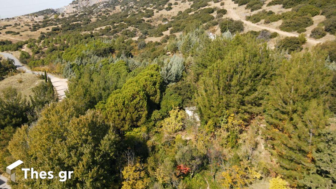 Ντοκιμαντέρ μικρού μήκους "Ο πατέρας τους δάσους" Παλαιόκαστρο Θεσσαλονίκη