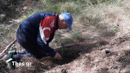 Ντοκιμαντέρ μικρού μήκους "Ο πατέρας τους δάσους" Παλαιόκαστρο Θεσσαλονίκη 93χρονος Βαγγέλης Βαρδαλής