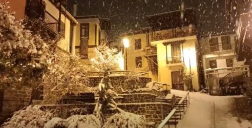 Χαλκιδική: Εντονη χιονόπτωση στην Αρναία (ΒΙΝΤΕΟ)