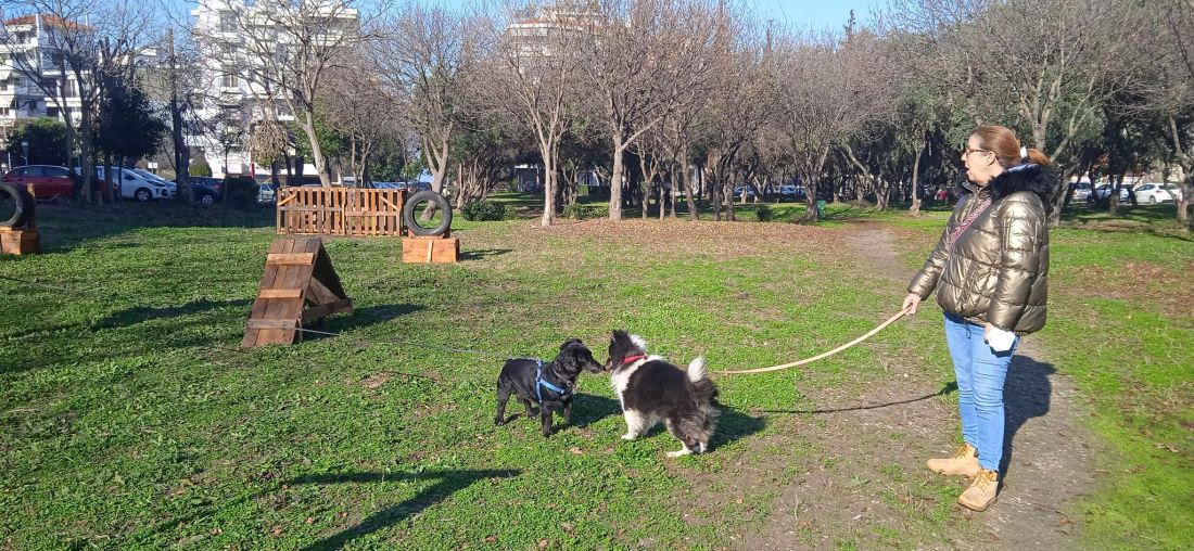 Καλαμαριά πάρκο σκύλων 