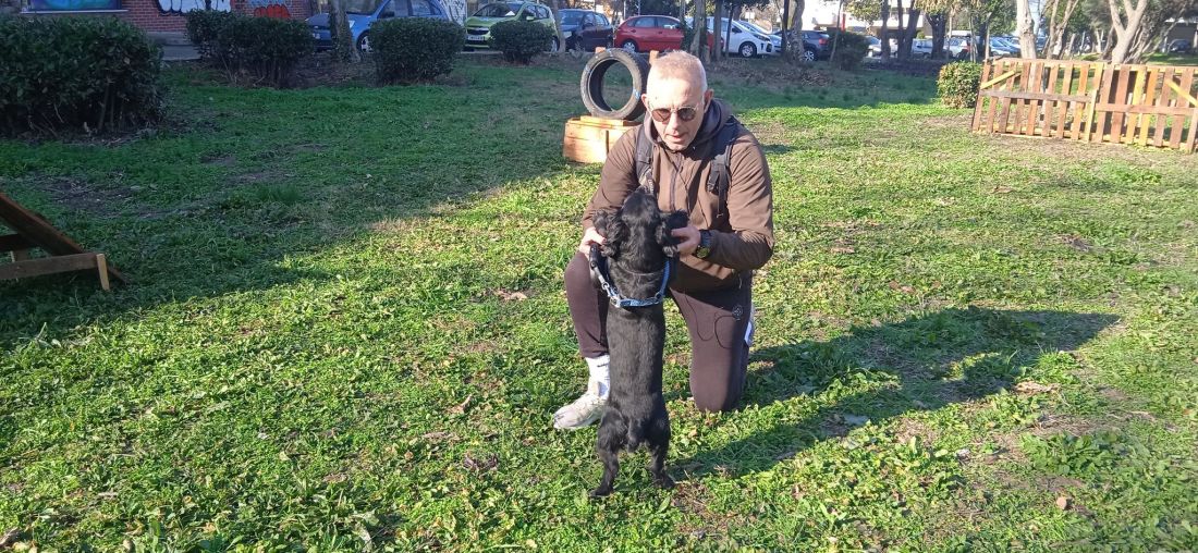 Καλαμαριά πάρκο σκύλων 