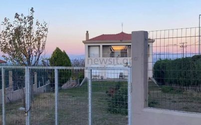 Θεσσαλονίκη: Κατέθεσε ο κηπουρός της 50χρονης – «Τα σκυλιά βγήκαν από την πόρτα της αυλής τους»