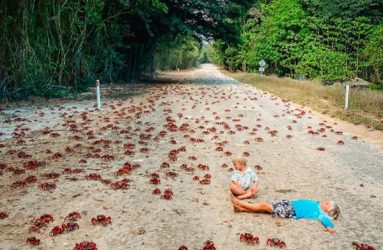 Το νησί των Χριστουγέννων που δεν έχει… καμία σχέση με τα Χριστούγεννα