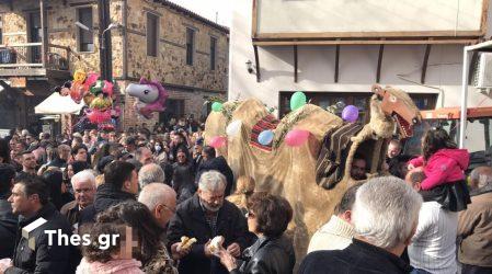 Το έθιμο της Καμήλας Γαλάτιστα Χαλκιδική Φώτα Θεοφάνεια Θεοφάνια