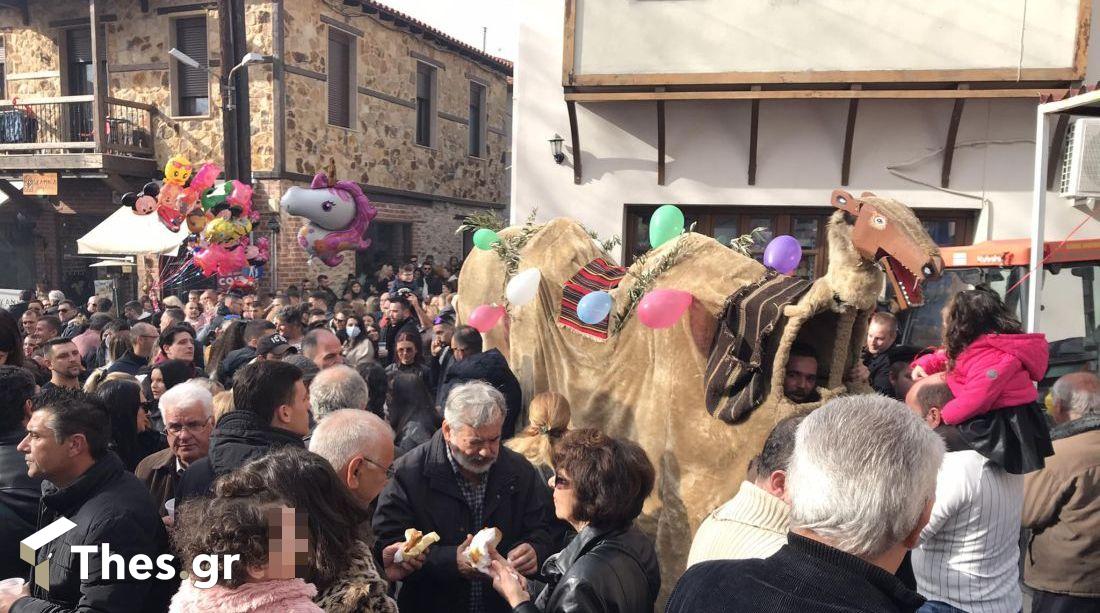 Το έθιμο της Καμήλας Γαλάτιστα Χαλκιδική Φώτα Θεοφάνεια Θεοφάνια