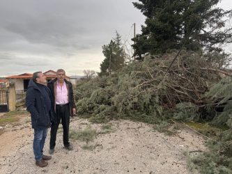 Χαλκιδική: Προβλήματα στην ηλεκτροδότηση λόγω των ισχυρών ανέμων (ΦΩΤΟ)