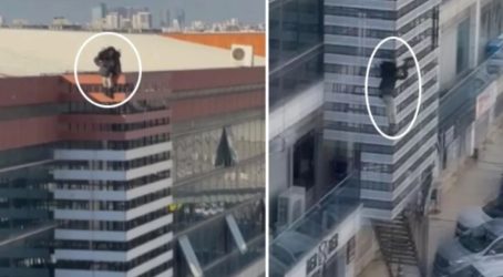 Κωνσταντινούπολη: 54χρονη Ελληνίδα αυτοκτόνησε από οροφή εμπορικού κέντρου