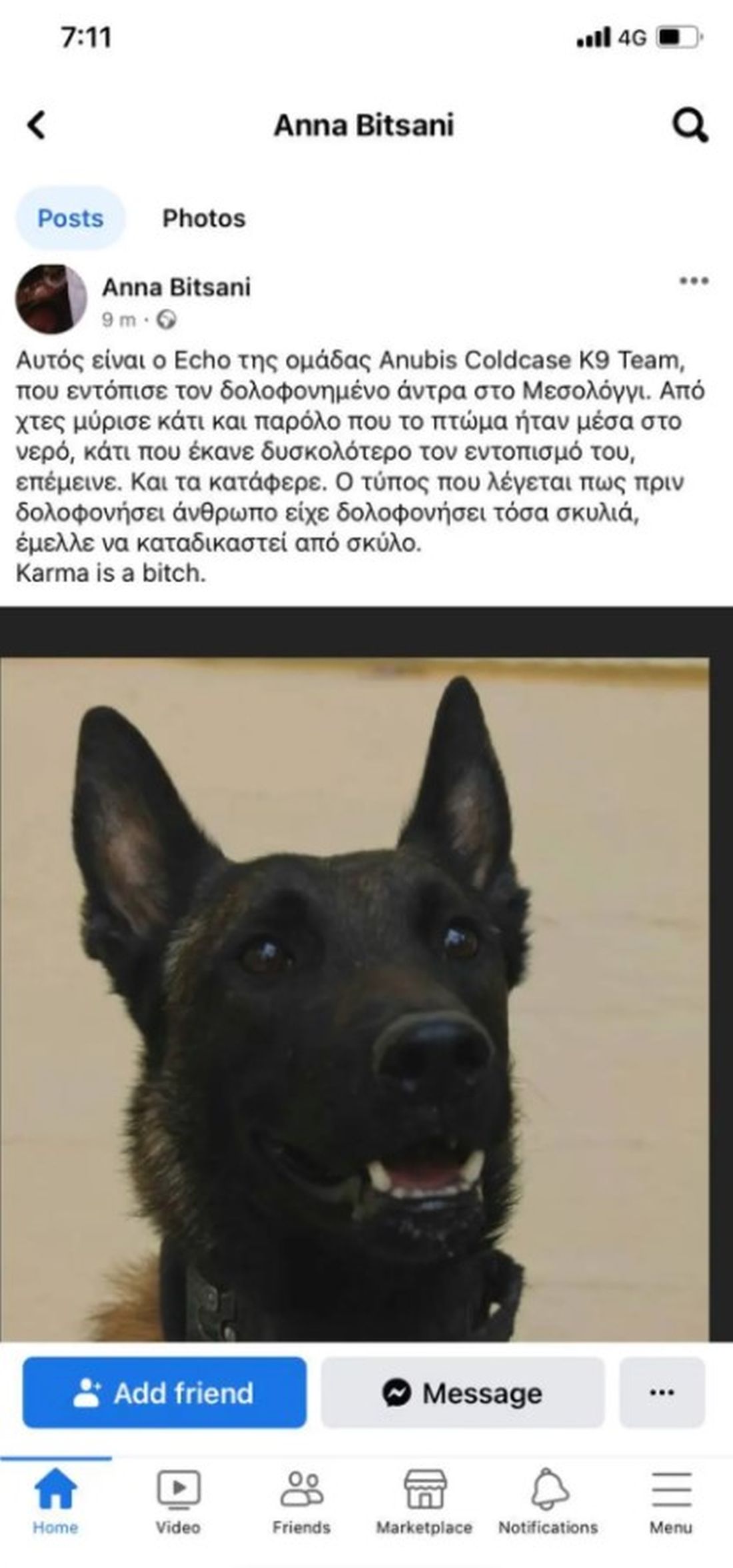 Μεσολόγγι σκύλος