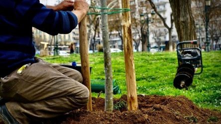 Θεσσαλονίκη: Ερχεται το πρώτο βρώσιμο δάσος με 750 δέντρα στην Νεάπολη