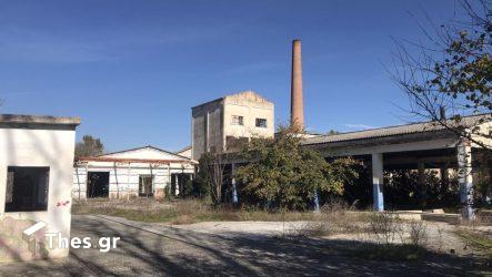 Εργοστάσιο ντομάτας Λαγκαδά: Από τον “Ζήκο” και την εποχή της ακμής στο άδοξο τέλος (ΒΙΝΤΕΟ & ΦΩΤΟ)