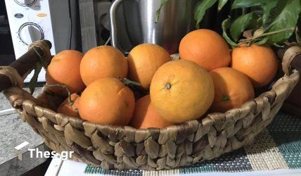 Σε ιστορικά υψηλά το πορτοκάλι – Τι οδήγησε στην εκτίναξη της τιμής του
