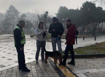 Θεσσαλονίκη: Πρόστιμα των 300 ευρώ σε ιδιοκτήτες κατοικίδιων που δεν χρησιμοποιούσαν λουρί