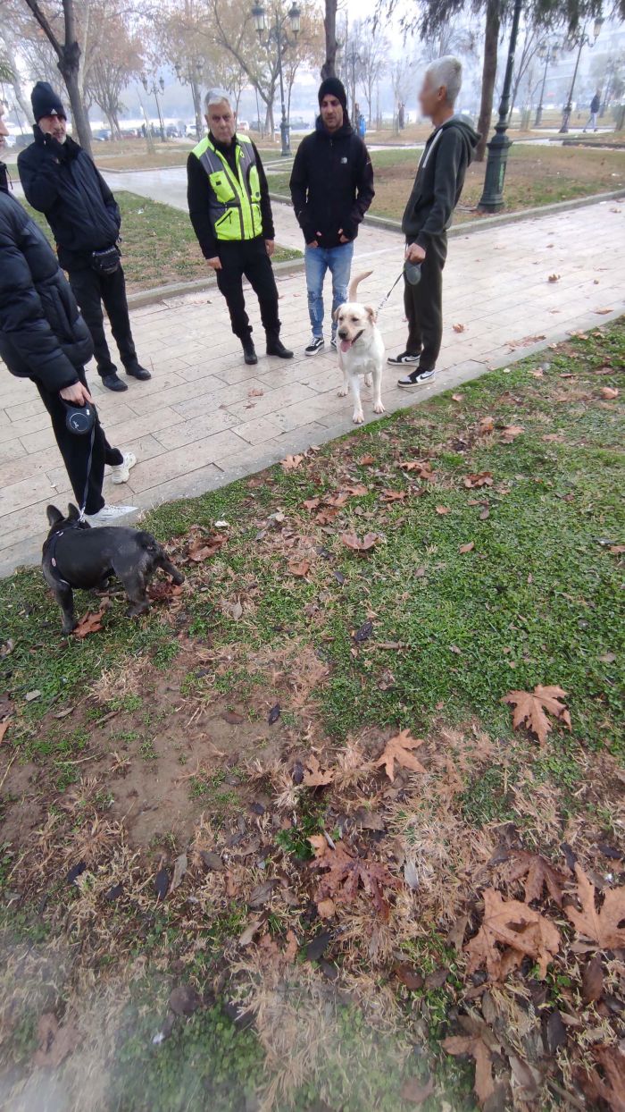 Θεσσαλονίκη πρόστιμα κατοικίδια 