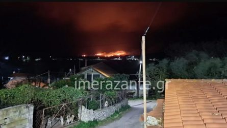 Μαίνεται η μεγάλη φωτιά στη Ζάκυνθο – Ενισχύθηκαν οι πυροσβεστικές δυνάμεις