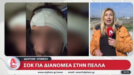 Πέλλα: “Πήγε να με πνίξει, τον δάγκωσα και με άφησε”, λέει ο οδηγός του αυτοκινήτου για τον καυγά με τον διανομέα