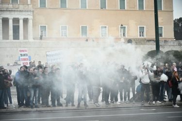 Σύνταγμα μελισσοκόμοι συλλαλητήριο