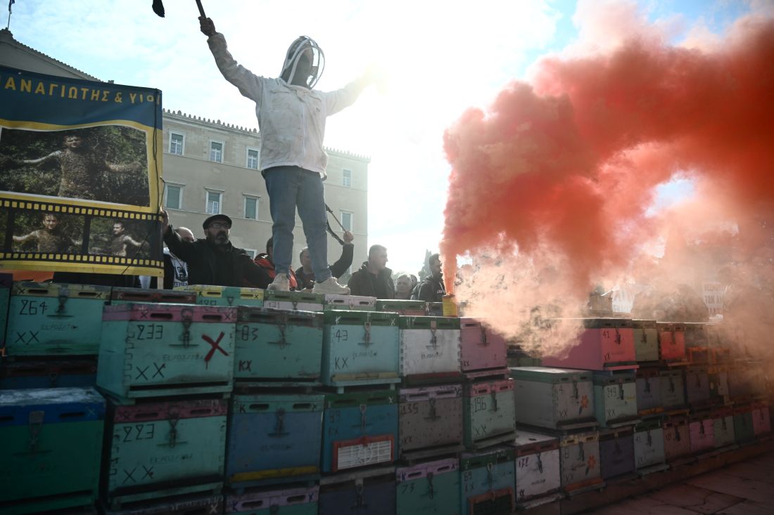 μελισσοκόμοι Σύνταγμα