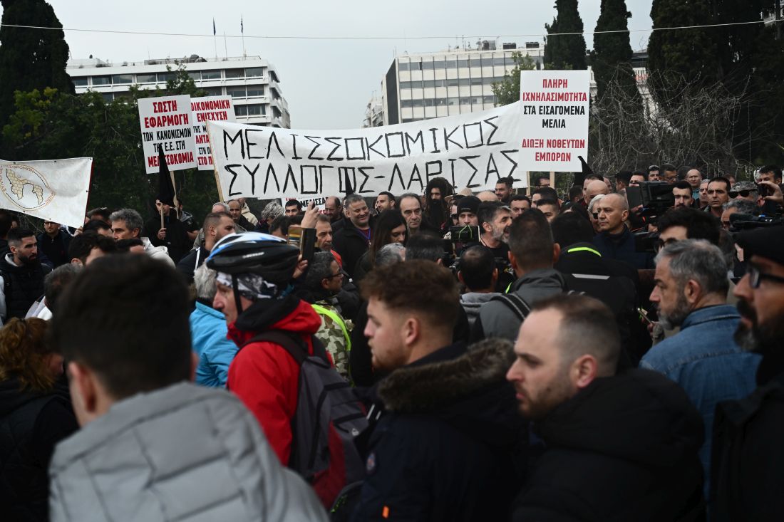 Σύνταγμα μελισσοκόμοι συλλαλητήριο