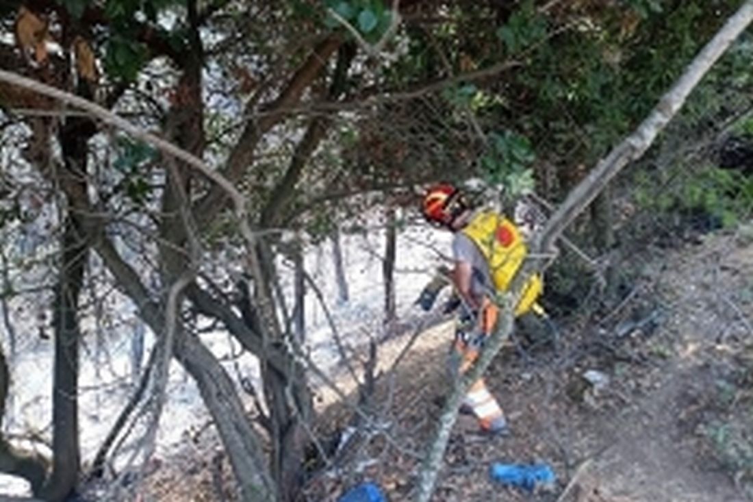 ημερίδα Σέιχ Σου πυρκαγιές