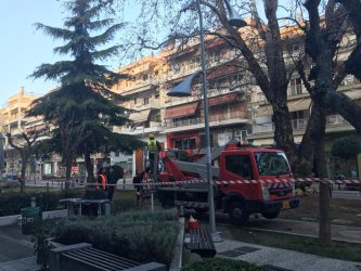 Η Καλαμαριά προσπαθεί να σώσει το ιστορικό πλατάνι της – Εγιναν εξετάσεις και κλαδεύτηκε (ΦΩΤΟ)
