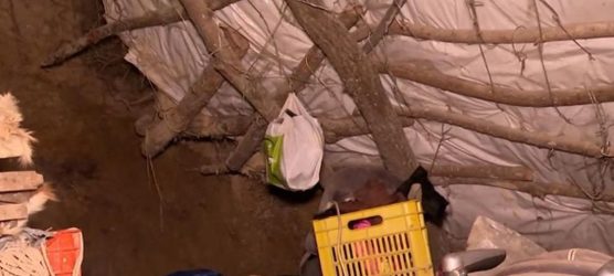 Κορινθία: Στον εισαγγελέα τη Δευτέρα ο πατέρας των «παλαιοχριστιανών»