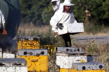 Ποιες παρεμβάσεις θα κάνει η κυβέρνηση για τις παράνομες ελληνοποιήσεις – Τι προβλέπει το νομοσχέδιο