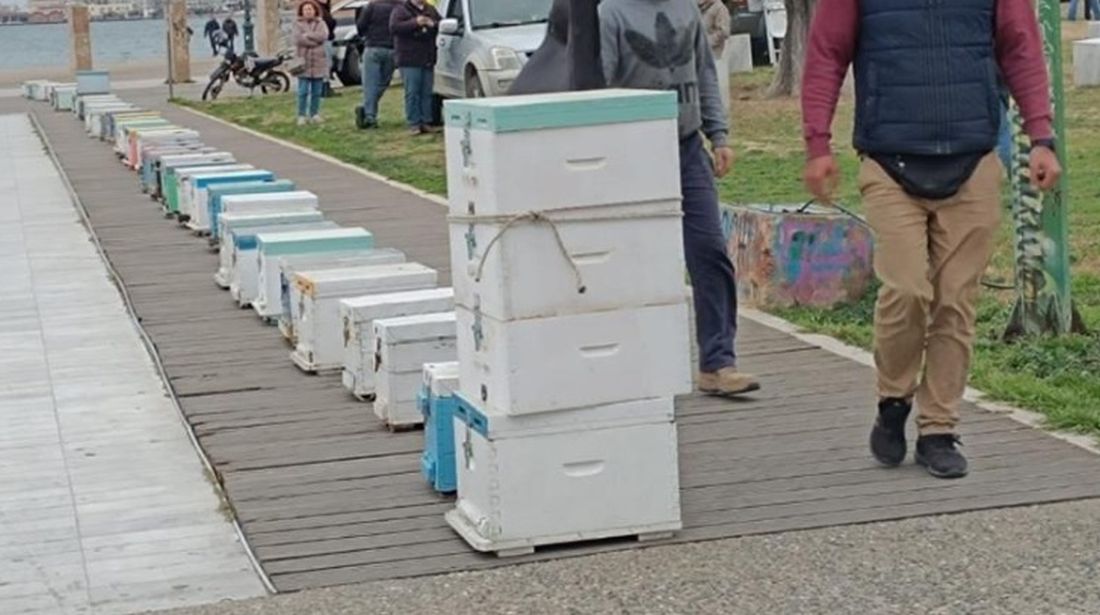 Θεσσαλονίκη: Μελισσοκόμοι έστησαν άδειες κυψέλες στη Νέα Παραλία