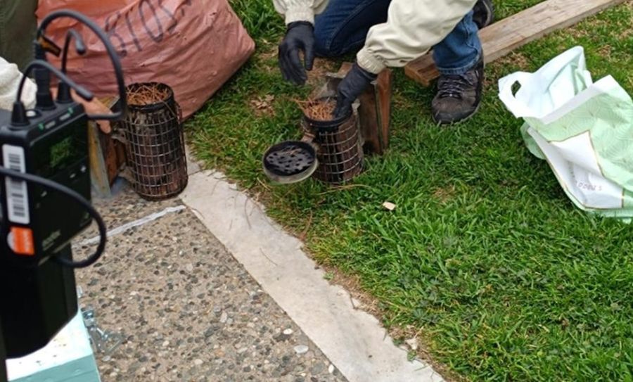 Θεσσαλονίκη: Μελισσοκόμοι έστησαν άδειες κυψέλες στη Νέα Παραλία