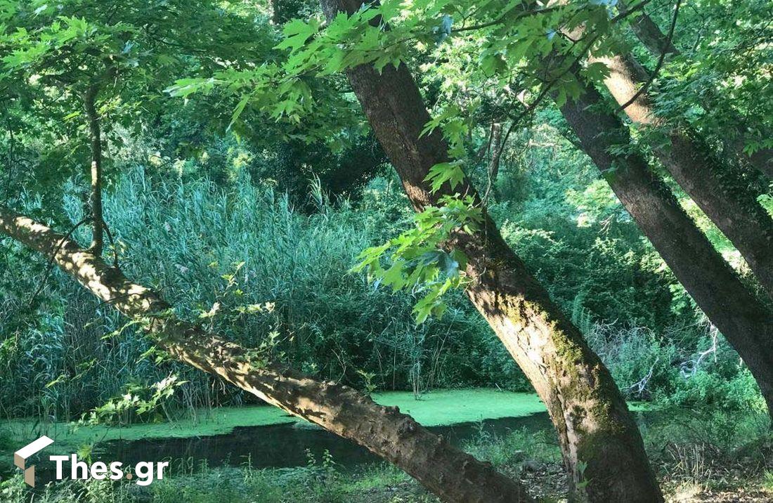 Ρήχειος Ποταμός αρχαίος περιοχή Ρεντίνας Ρεντίνα Μακεδονικά Τέμπη Νομός Θεσσαλονίκης Θεσσαλονίκη