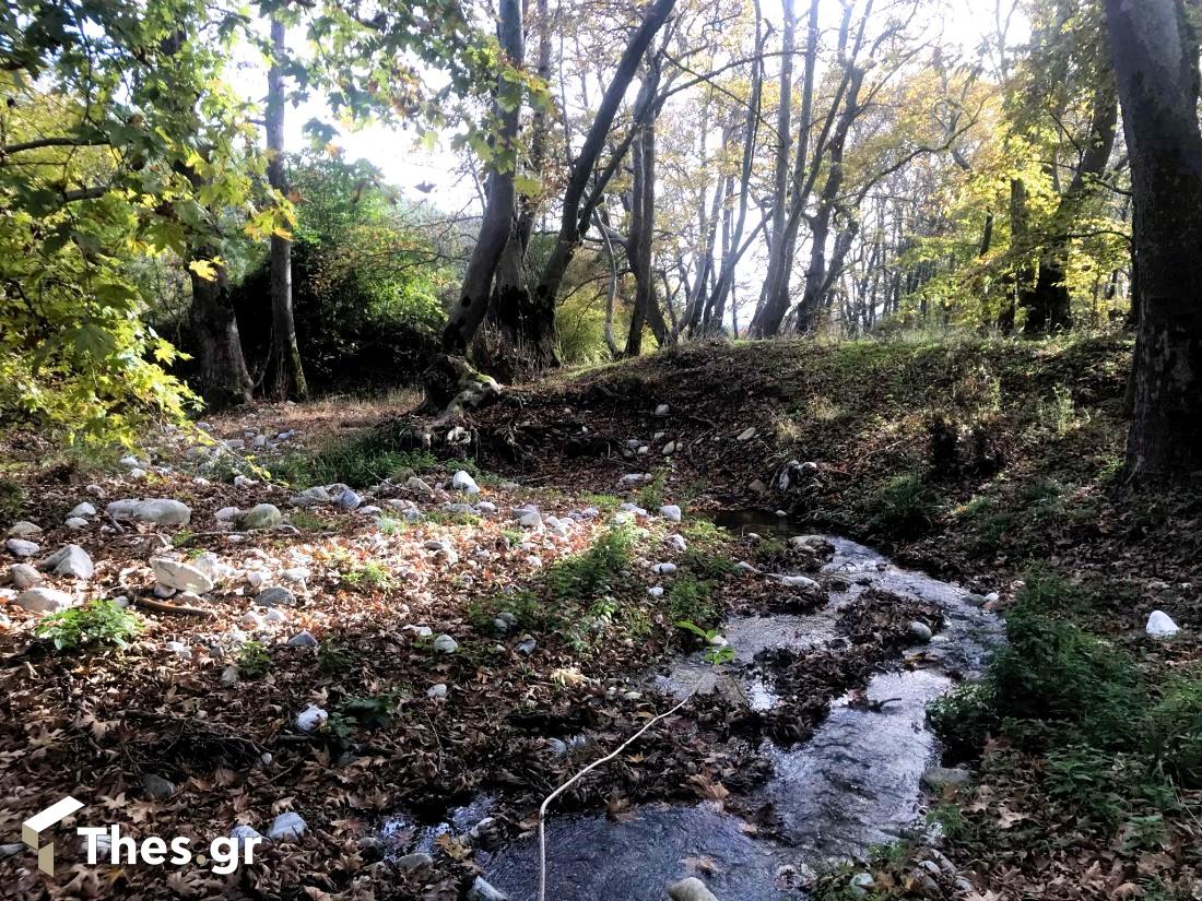 Στεφανινά χωριό δήμος Βόλβης Θεσσαλονίκη ταξίδια αποδράσεις φύση