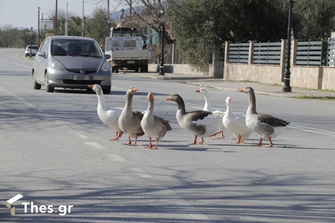 Μικρή Βόλβη Λίμνη Βόλβης Θεσσαλονίκη χωριό δήμος Βόλβης