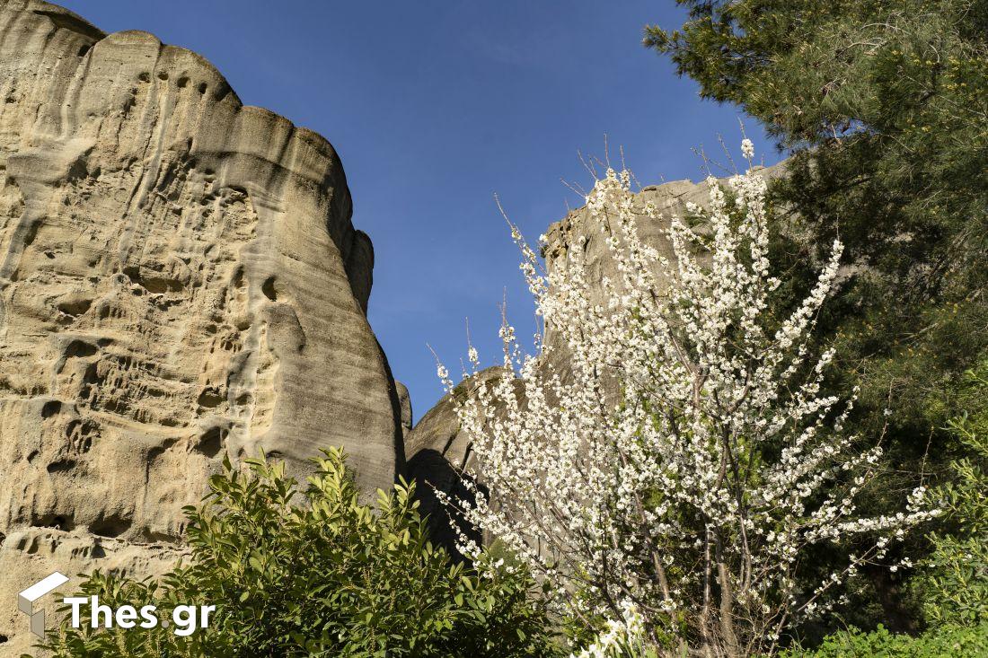Μετέωρα θέα βράχοι Meteora