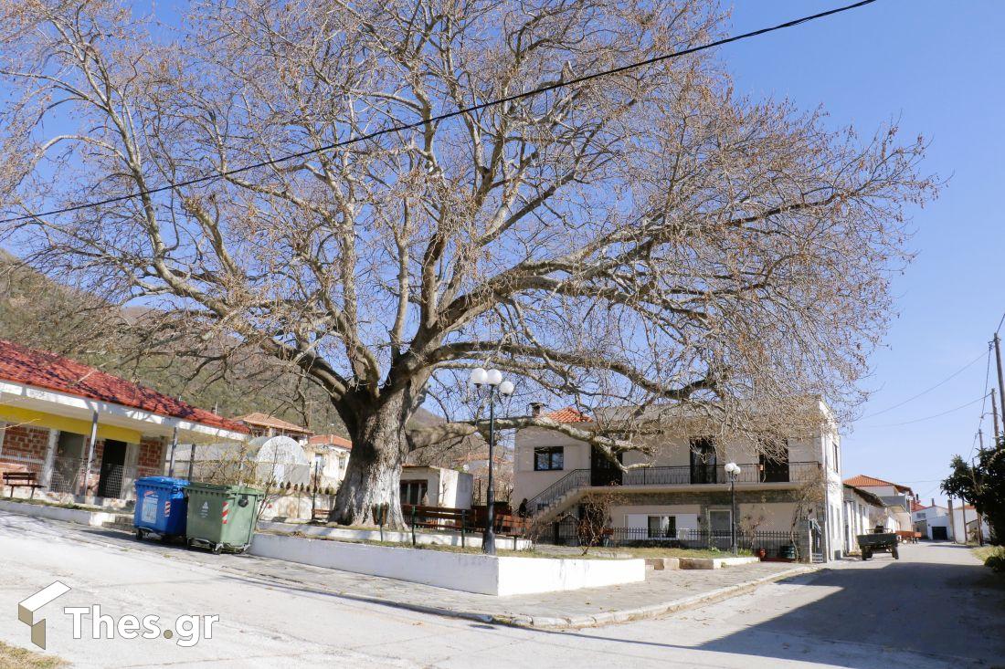 χωριό Αυγή Θεσσαλονίκη Νομός Θεσσαλονίκης Δήμος Λαγκαδά πλατεία πλάτανος