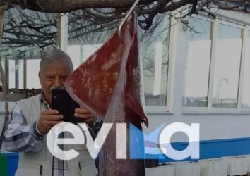 Εύβοια: Ψάρεψε γιγάντιο καλαμάρι με βάρος 15 κιλά (ΦΩΤΟ)